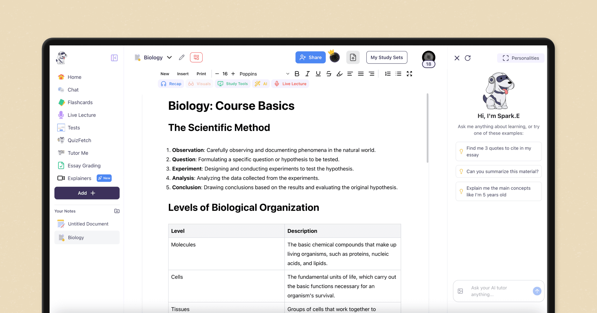 StudyFetch product screen 1